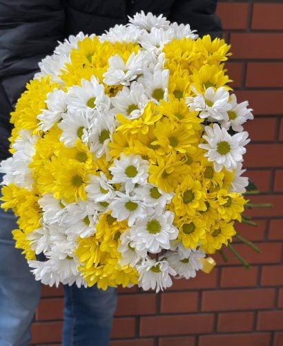 Купить букет из разноцветных хризантем с доставкой по Александров-Гаю
